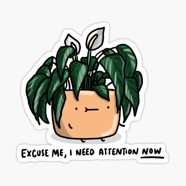 Peace lily looking for attention Sticker