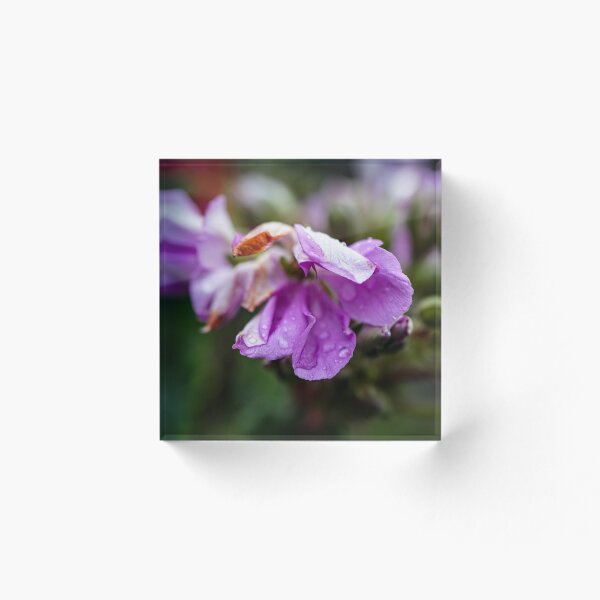 Item preview, Spring Blooms designed and sold by ChloePorter17.