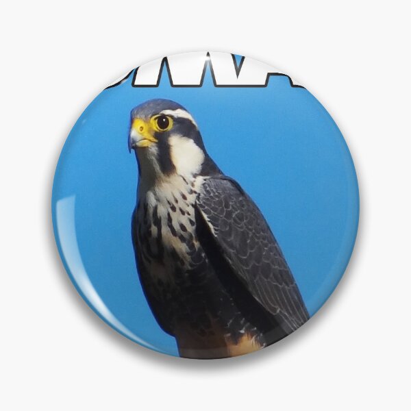 Item preview, Funny Shirts Lemme Smash Meme Fun Shirts Birdwatch designed and sold by helderpoeta.