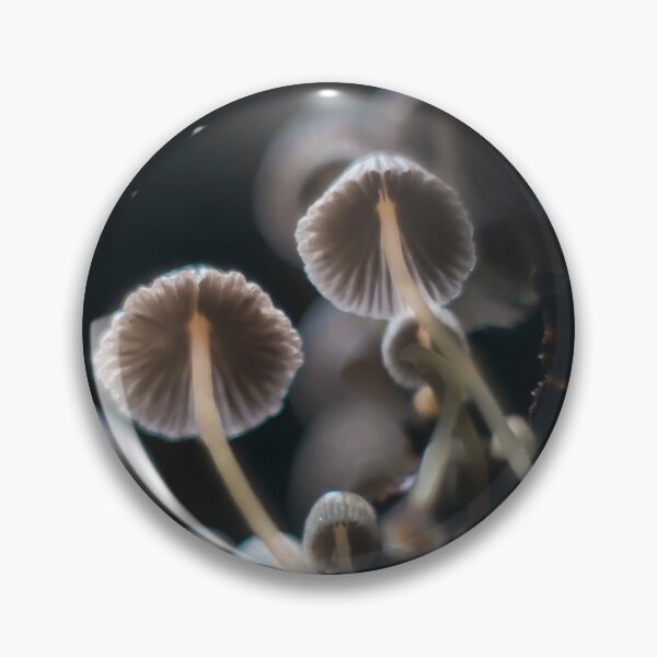 Item preview, Shrooms in group designed and sold by bokehlein.