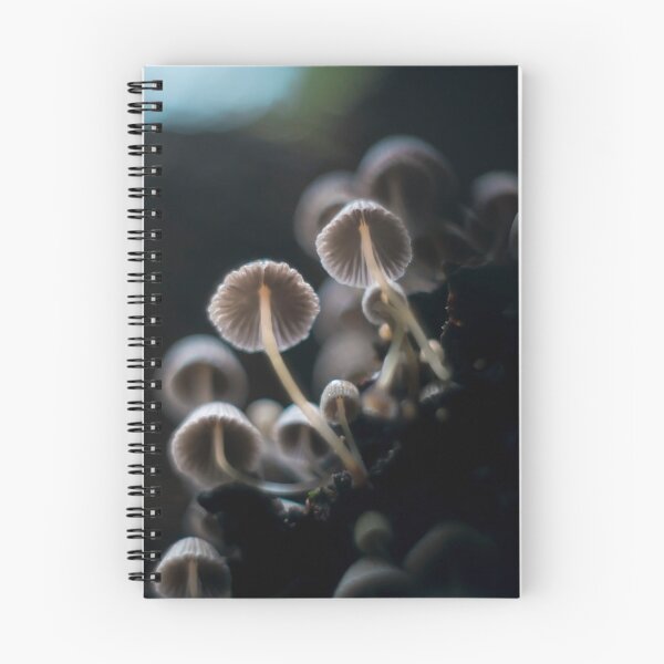 Item preview, Shrooms in group designed and sold by bokehlein.