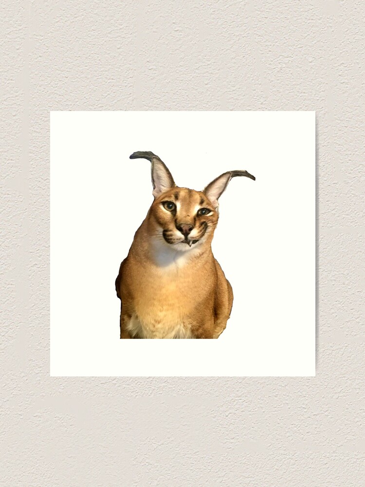 Mexican Lottery Cat Lover Caracal Cat The Floppa Digital Art by Maximus  Designs - Fine Art America