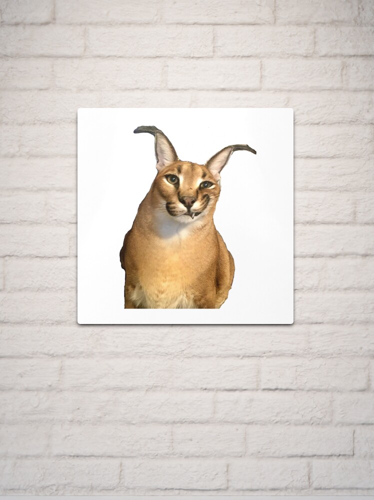 Big Floppa Meme Cute Caracal Cat: Plain Lined Journal Notebook, 120 Pages,  Medium 6 x 9 Inches, Printed Cover