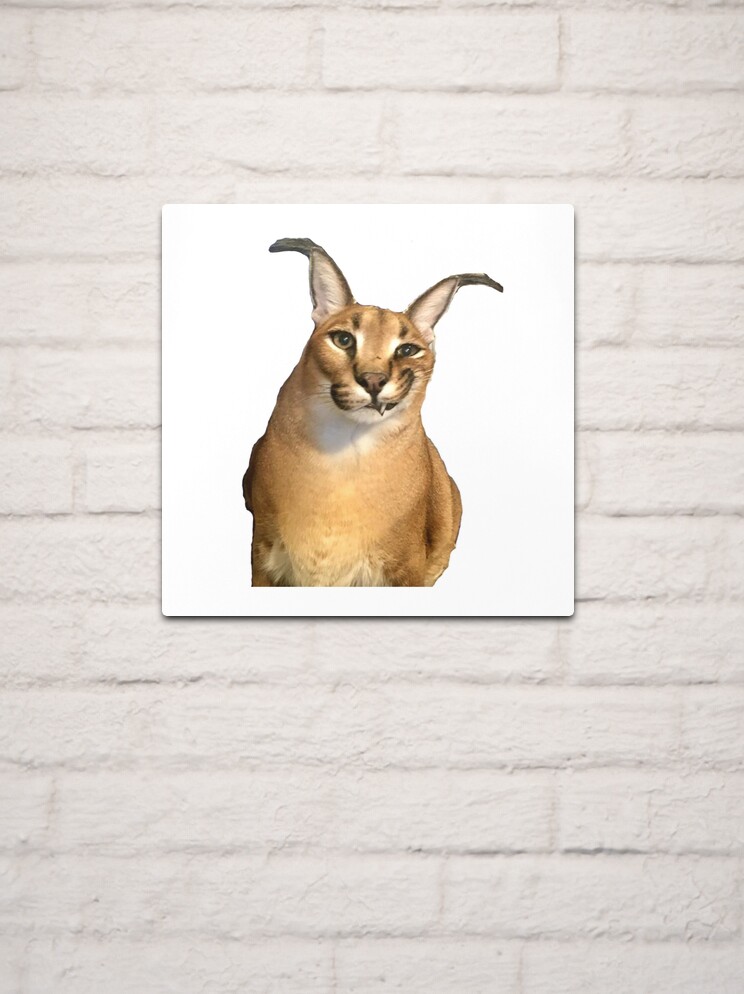 Drunk Floppa Meme Caracal Cat  Canvas Print for Sale by