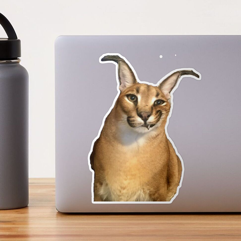 Big Floppa Meme Cute Caracal Cat iPhone Case by Ouzmaa Amarra - Pixels