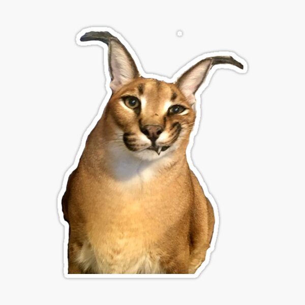 Big floppa PNG - caracal meme post - Imgur