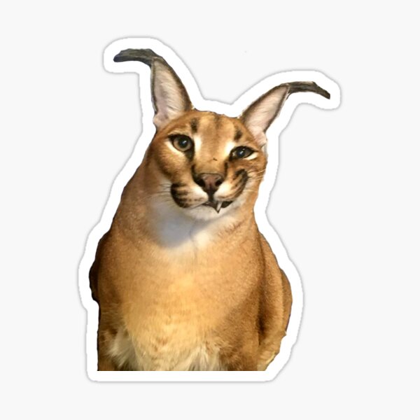 Big Floppa Caracal Cat Meme' Sticker