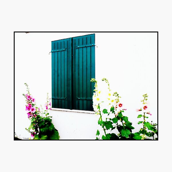 Aperçu de l'œuvre Les volets clos créée et vendue par ART22.