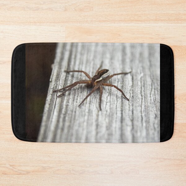 Item preview, Small runner 2. Wolf spider designed and sold by Jouko Lehto Photography.