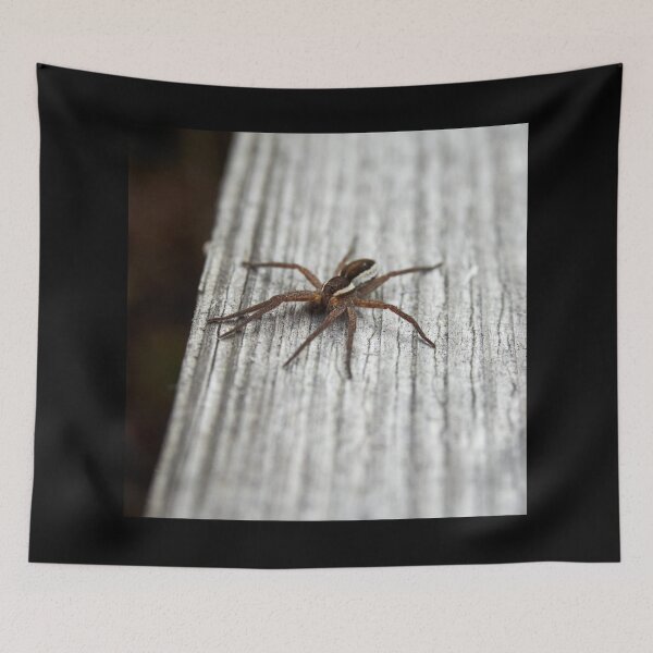 Item preview, Small runner 2. Wolf spider designed and sold by Jouko Lehto Photography.