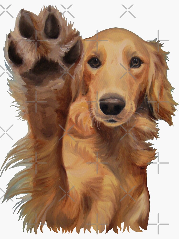 Imagen de producto 3