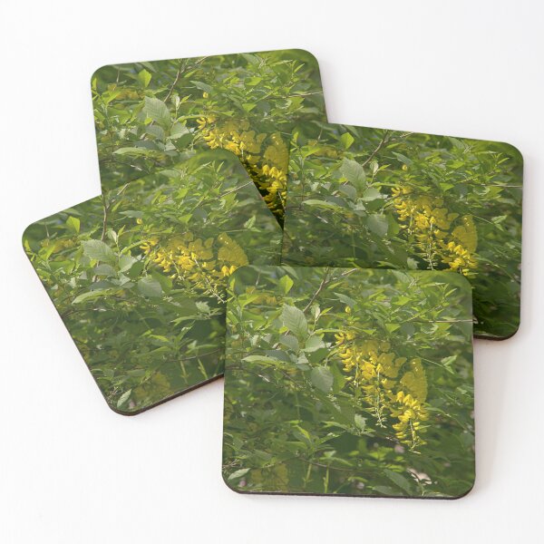 Item preview, spring designed and sold by Babbler01.
