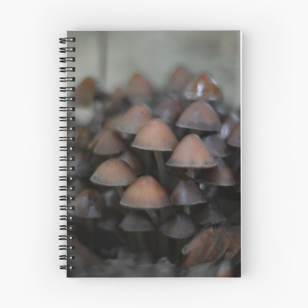 Item preview, Many shrooms designed and sold by bokehlein.