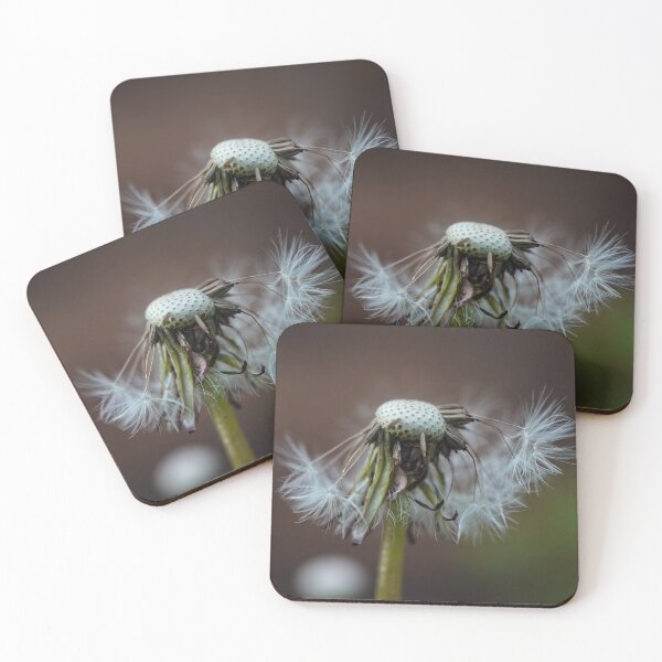 Item preview, Dandelion  designed and sold by ChloePorter17.