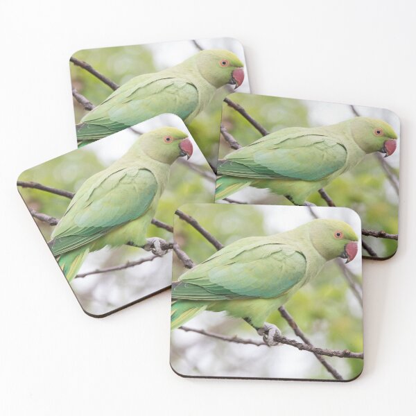 Item preview, Ring Necked Parakeet designed and sold by LaurenTucker.