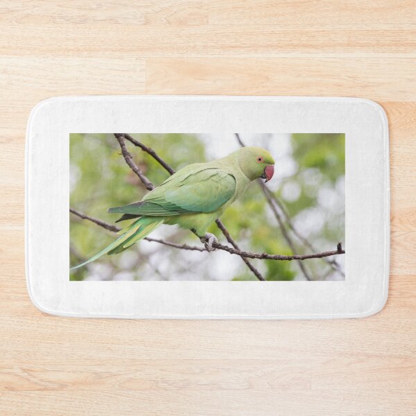 Item preview, Ring Necked Parakeet designed and sold by LaurenTucker.
