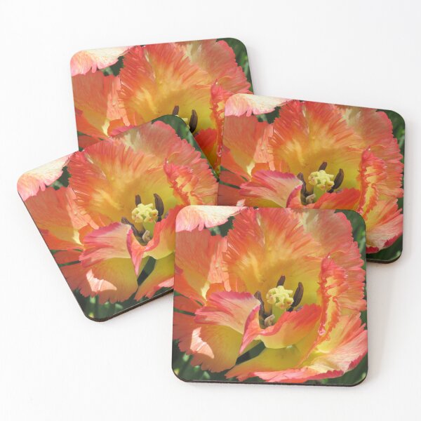 Item preview, Peachy Companion to the Yellow Parrot Tulip designed and sold by Monica-Stroud.