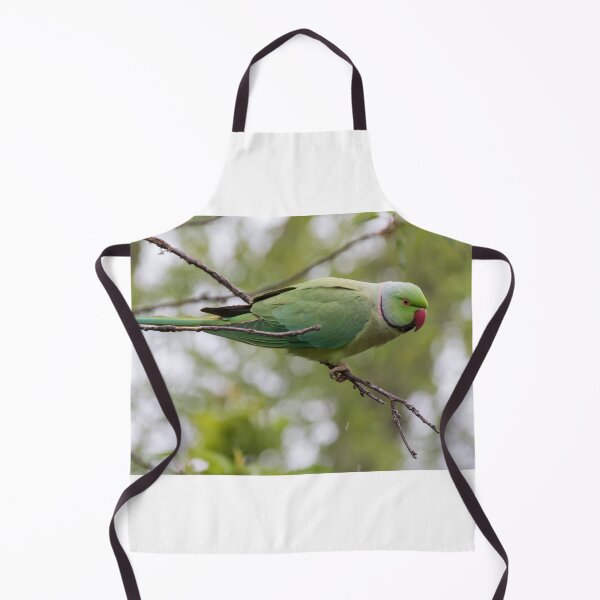 Item preview, Ring Necked Parakeet designed and sold by LaurenTucker.
