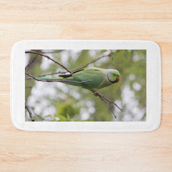 Item preview, Ring Necked Parakeet designed and sold by LaurenTucker.