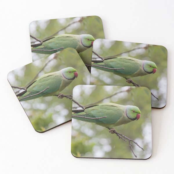 Item preview, Ring Necked Parakeet designed and sold by LaurenTucker.
