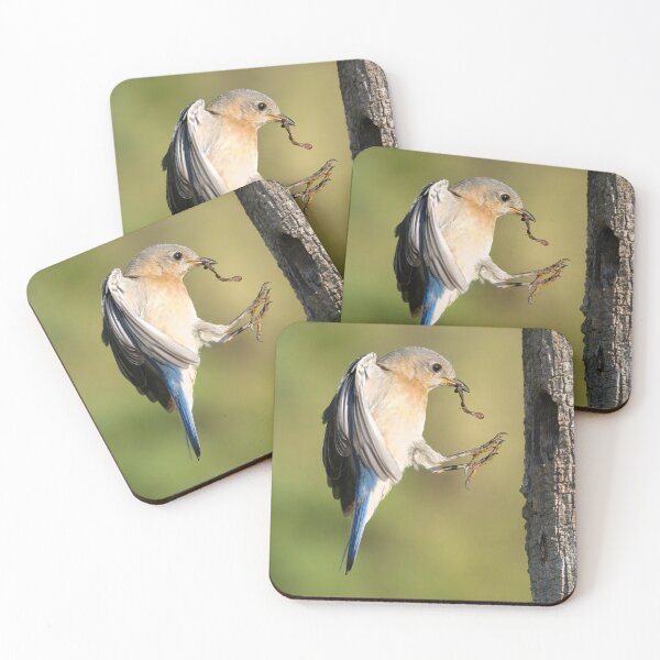 Item preview, Female Eastern Bluebird returning to Nest designed and sold by Gerard Fornarotto.