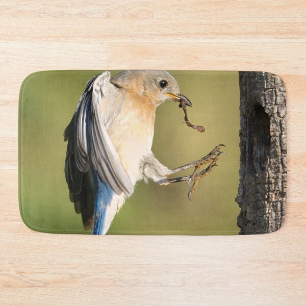 Item preview, Female Eastern Bluebird returning to Nest designed and sold by Gerard Fornarotto.
