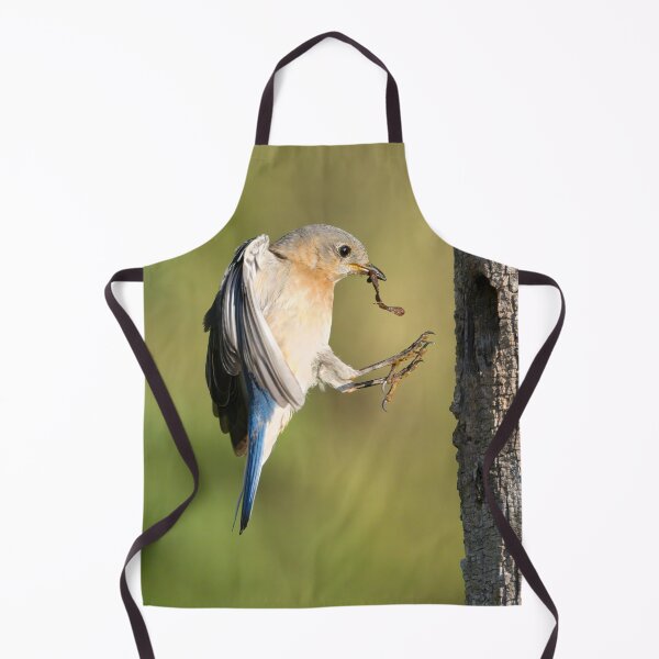 Item preview, Female Eastern Bluebird returning to Nest designed and sold by Gerard Fornarotto.