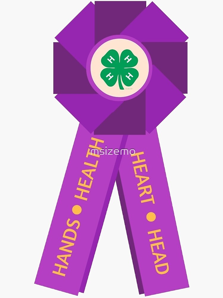 "4H Big, Purple Ribbon" Sticker for Sale by msizemo Redbubble