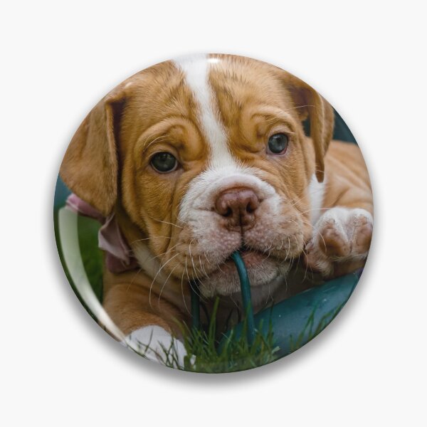 Item preview, Baby Bulldog designed and sold by ChloePorter17.