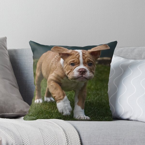 Item preview, Running Puppy designed and sold by ChloePorter17.