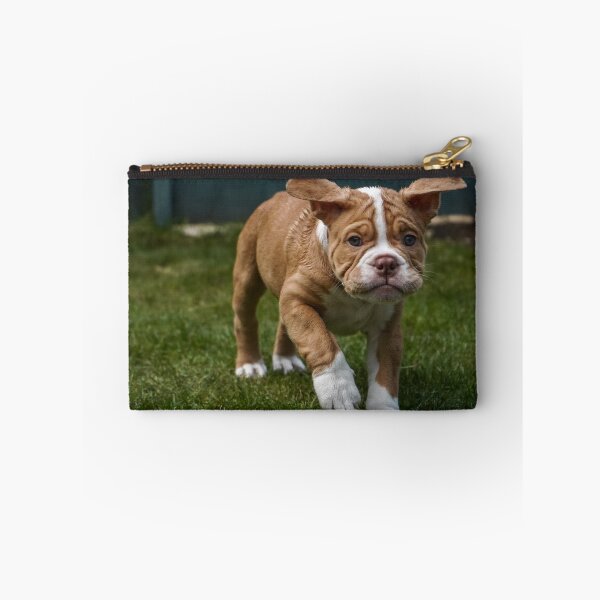 Item preview, Running Puppy designed and sold by ChloePorter17.