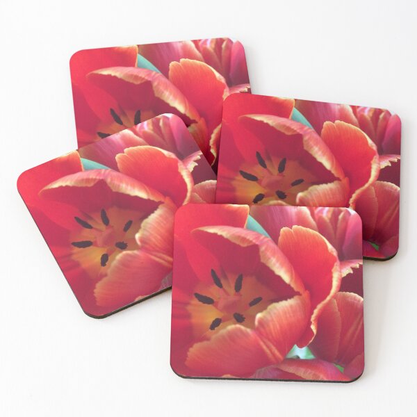 Item preview, Tiptoe Through the Tulips designed and sold by AGODIPhoto.