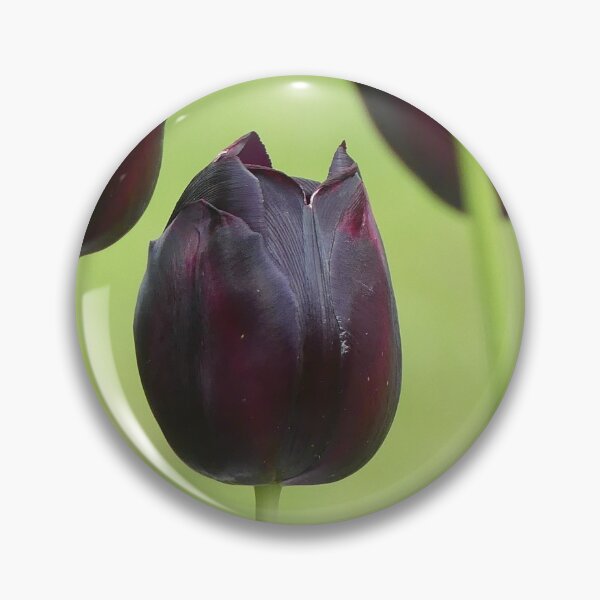 Item preview, Tulip from Holland designed and sold by Sandra  Brave.