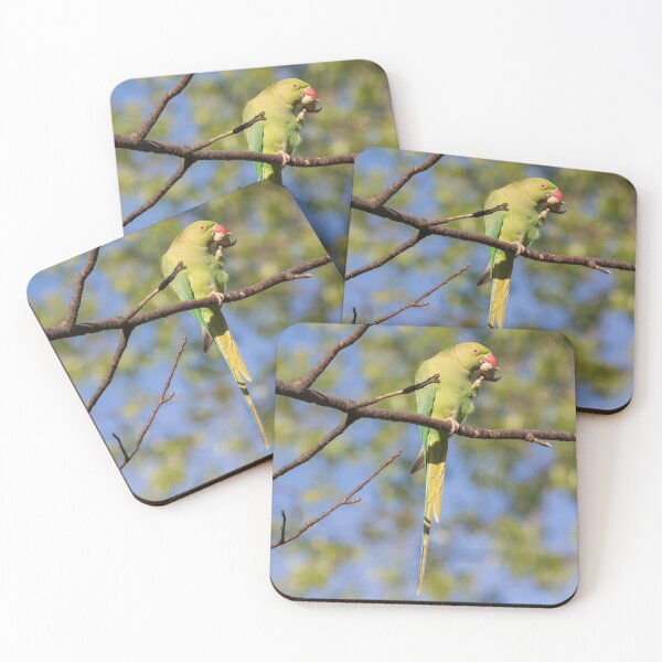 Item preview, Ring Necked Parakeet designed and sold by LaurenTucker.