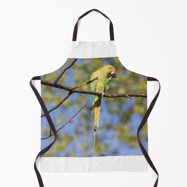Item preview, Ring Necked Parakeet designed and sold by LaurenTucker.