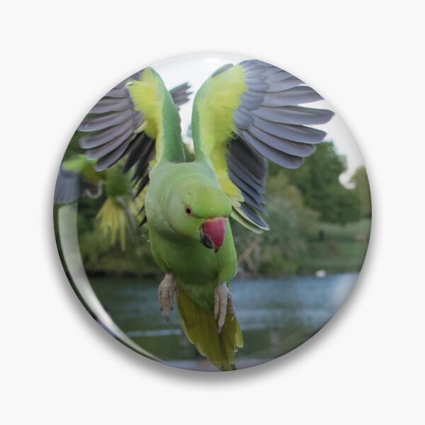 Item preview, Ring Necked Parakeet designed and sold by LaurenTucker.