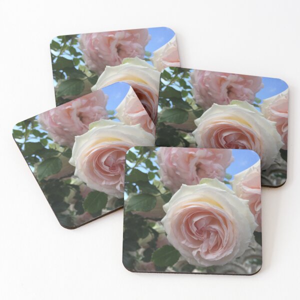 Item preview, Cuidado con la espina designed and sold by AGODIPhoto.