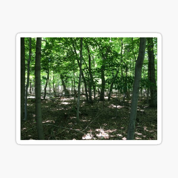 Item preview, 100 Acre Wood designed and sold by AGODIPhoto.