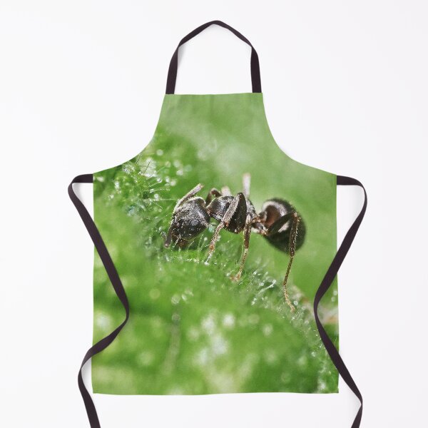 Aperçu de l'œuvre r1217/ Finition 2021 - 1 - Fourmis " Gourmande ! " (c)(h) Olavia-Olao Okaio Créations créée et vendue par o.okaïo.