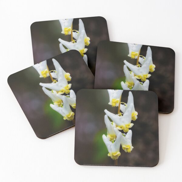 Item preview, Dutchman's Breeches designed and sold by Robert Alsop.