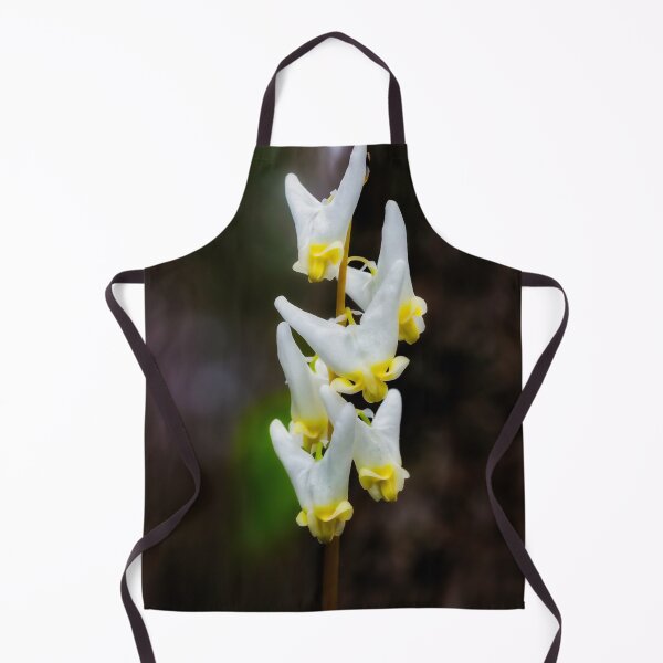 Item preview, Dutchman's Breeches designed and sold by Robert Alsop.