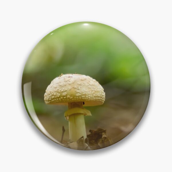 Item preview, Funghi di Vogorno designed and sold by bokehlein.