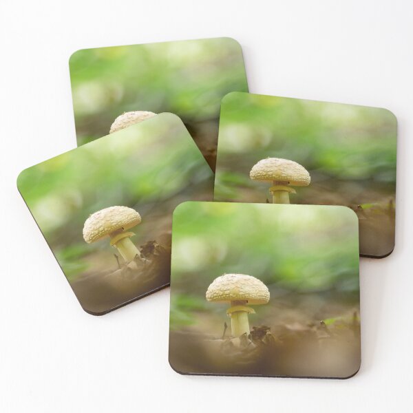 Item preview, Funghi di Vogorno designed and sold by bokehlein.