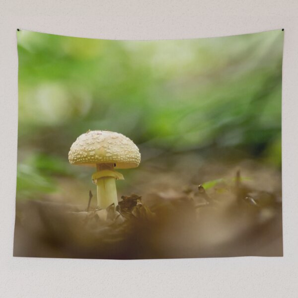 Item preview, Funghi di Vogorno designed and sold by bokehlein.