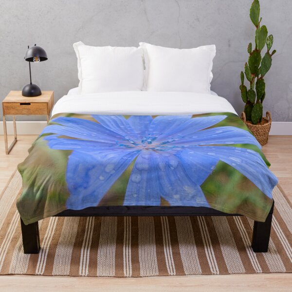 Artikelvorschau, Chicorée nach Regen, blaue Blume auf den Feldern entworfen und verkauft von Poppy-World.