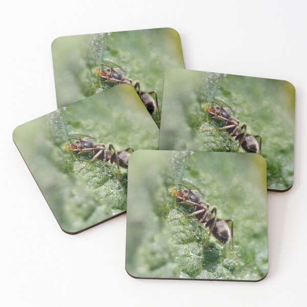 Item preview, r1216/ Finition 2021 - 2 - Fourmis " Gourmande ! " (c)(h) Olavia-Olao Okaio Créations designed and sold by o.okaïo.