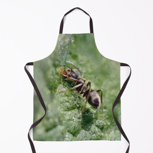 Aperçu de l'œuvre r1216/ Finition 2021 - 2 - Fourmis " Gourmande ! " (c)(h) Olavia-Olao Okaio Créations créée et vendue par o.okaïo.