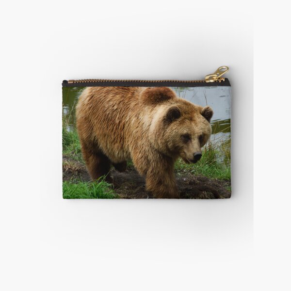 Item preview, Animal picture brown bear designed and sold by Calynko.