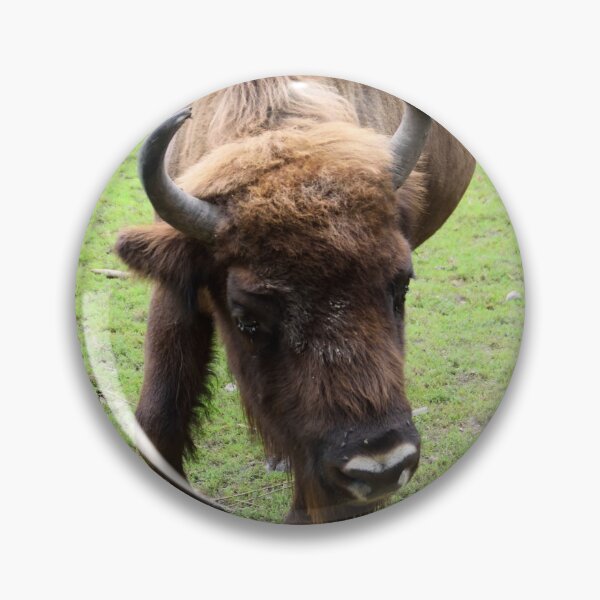Item preview, Animal picture buffalo designed and sold by Calynko.