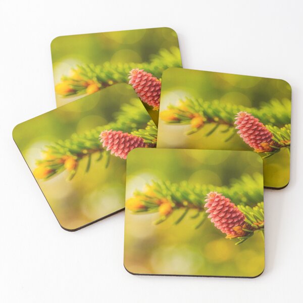 Item preview, New growth designed and sold by Veikko  Suikkanen.